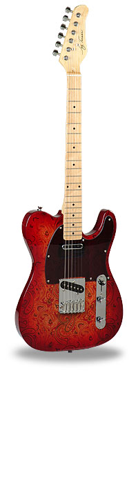 TE-Body Jay Turser Rosewood by Washburn JT-LT-RW